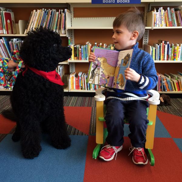 Image for event: PAWS: Reading to Dogs