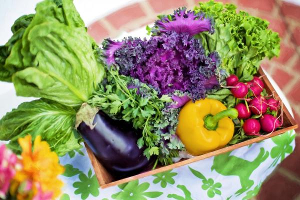 Image for event: Vegetable Gardening with Master Gardeners